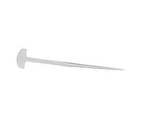 Bewinner Púa de Anguila de Acero Inoxidable 304 para Pesca, Clavo de Anguila en Forma de T para Restaurante de Cocina Casera, Clavo Afilado y Duradero para Matar Peces, Herramienta de Chef de Fácil