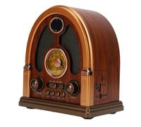 Bewinner Radio Vintage Am FM SW, Altavoz Bluetooth TWS con Reproducción de Tarjeta USB (Oscuro)