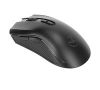 Bewinner Ratón Inalámbrico para Juegos, Ratón Recargable para Computadora con Retroiluminación RGB, 4800 dpi Ratón Ergonómico Delgado para Oficina con Receptor USB para Viajes, Jugadores (Negro)