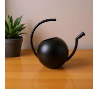Bewinner Regadera de Acero Inoxidable, Elegante, 1000ml, para Plantas de Interior, Decorativa, Negra, para el Hogar, Adecuada para Entusiastas de Las Plantas