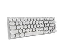 Bewinner Teclado Mecánico con Cable, Interruptores Azules de Teclado de Juego Mecánico de Estilo Máquina de Escribir, Iluminación Dinámica RGB, 68 Teclas Compactas Mini Teclado con (White)