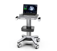 BEWISER Carro médico con ruedas bloqueables - Escáner de imágenes ultrasónicas en modo B - Carro ultrasónico - 45 x 50 cm - Mesa de trabajo de 45 x 50 cm - Carrito dental móvil para clínicas