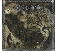 Bewitched - Unveiling Zion: the Mother's Return