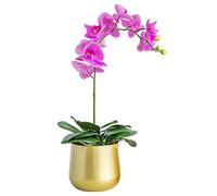 Bexdug Macetas Doradas para Interior | Maceta Dorada, Maceta metálica Redonda con Agujero Drenaje para Interiores o Exteriores, Color Dorado