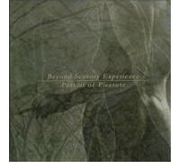 Beyond Sensory Experience - pursuit of pleasure