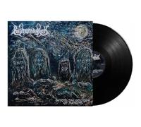 Beyond The Cenotaph Of Mankind [Vinilo]