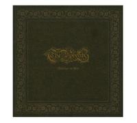 Beyond the Fragile Horizon