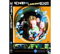 Beyond The Looking Glass- A Behind The Scenes Tour Of The Tennessee Aquarium