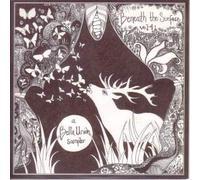 Beyond the Surface 4