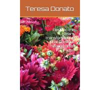 Beyond the tears transformative practices for healing after loss