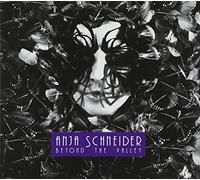 BEYOND THE VALLEY(輸入盤 帯・ライナー付)