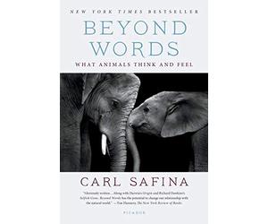 Beyond Words: What Animals Think and Feel