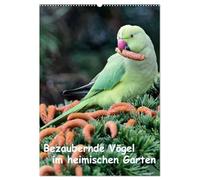 Bezaubernde Vögel im heimischen Garten (Wandkalender 2026 DIN A2 hoch), CALVENDO Monatskalender: Wunderschöne Aufnahmen, die die Pracht, Vielfalt und ... - eine Freude für jeden Vogelliebhaber.