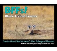 BFFs! Black-Footed Ferrets (Paperback): Love for One of North America's Most Endangered Mammals