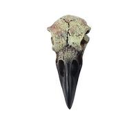 BFLKY RavenSkull - Collar de hueso para Halloween, colgante de cuervo, calavera, adorno decorativo, colgante gótico para fiesta, joyería para adultos