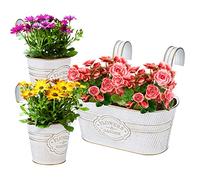 BFYDOAA Juego de 3 macetas colgantes de pared de hierro vintage con orificio de drenaje y gancho desmontable para valla de balcón, barandilla interior y exterior