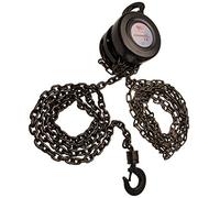 BGS 3484 | Poliplasto de cadena | elevación 2,5 m | 2 t