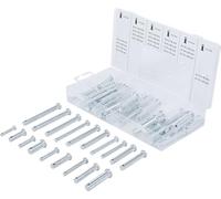 BGS 8137 | Surtido de bulones | 60 piezas