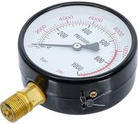BGS 9246-3 | Manómetro para BGS 9246