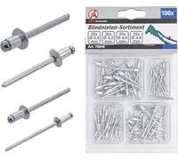 BGS Diy 75846 | Surtido de remaches ciegos | Ø 2,4 - 4,8 mm | 100 piezas