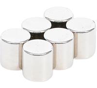 BGS Diy 79919 | Juego de imanes | extra fuertes | Ø 9,5 mm | 6 piezas