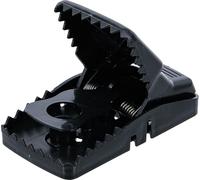 BGS Diy 80792 | Trampa para ratas | plástico