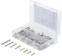 BGS Diy 88191 | Surtido de tornillos multiusos | cabeza con punta en cruz PZ2 | 120 piezas