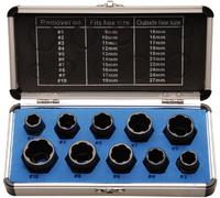 BGS DIY Spezial-Steckschlüssel-Einsatz-Satz/Destornillador 10 MM (3/8")