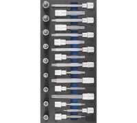 BGS Inserto Taller Mecánico 1/3: Bit-Einsatz-Satz Keil-Profil (para Ribe ) 25-tl