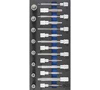 BGS Inserto Taller Mecánico 1/3: Bit-Einsatz-Satz Llave Multidentada (Para Xzn )