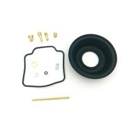 BGTR Kit De Reparación De Carburador Compatible con Polaris Magnum 325 330 425 500