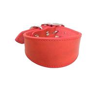 BHFYOB Leathers - Collar acolchado suave para perros Whippets Salukis Sighthounds, collar ajustable para perros de razas grandes
