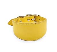 BHFYOB Leathers - Collar acolchado suave para perros Whippets Salukis Sighthounds, collar ajustable para perros de razas grandes