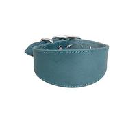 BHFYOB Leathers - Collar acolchado suave para perros Whippets Salukis Sighthounds, collar ajustable para perros de razas grandes