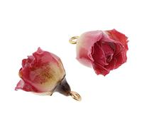 BHFZIAP 2 dijes de flores reales envueltos en resina, para hacer joyas, 2 x 1 cm, 2x1cm, Poliéster