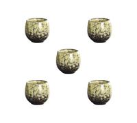 BHFZIAP Juego de 5 vasos japoneses hechos a mano para adultos, hombres, mujeres, té verde, G, estilo G