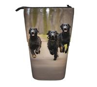 BHHJKK Trotting Retrievers - Estuche telescópico para lápices, organizador de papelería con cremallera, Black, Talla única, Estuches