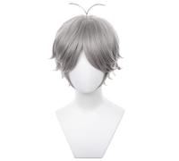 bi bi hou Sugawara Koushi Cosplay Peluca Plata 40cm Disfraz de Anime Haikyuu Koushi Sugawara Wig Navidad Halloween Carnaval Fiesta Etapa Rendimiento Accesorios Peluca Anime Adulto