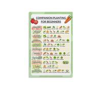 BIANMTSW Companion Planting Guide for Gardeners - Vegetable & Herb Pairing Chart Poster, Essential Reference for Beginner and Expert Home Growers Framed,12x18inch(30x45cm)