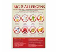 BIANMTSW Cuadro profesional de alérgenos en lienzo para decoración del lugar de trabajo y servicio de alimentos, póster con guía de manejo de alérgenos, infografía enmarcada, 40 x 60 cm