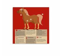 BIANMTSW Signos vitales de caballos y guía veterinaria de salud para cuidado y decoración equina enmarcada, 40 x 60 cm