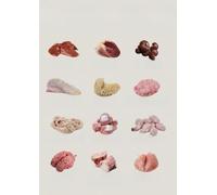 BIANMTSW Tabla de nutrientes de carne de órgano, guía de alimentación saludable con tipos de despojos como hígado y corazón, póster educativo para decoración de cocina y oficina enmarcado, 40 x 60 cm