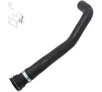 BIAREN Manguera superior del radiador para Ford Fiesta Mk5 Fusion Mazda 2 1.25 1.4 1.6 16V 1528662 2S6H8B274AG C2011518X