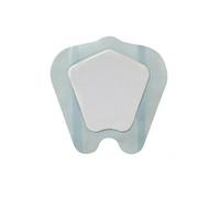 Biatain Adh Sacrum Pans 23 X23 cm 5
