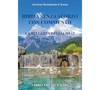 BIBBIA SENZA SFORZO CON COMMENTO - La bellezza dei salmi/2: Vol. 2