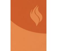 Biblia de Estudio Vida Plena - Ampliada Y Actualizada (Imitación Piel Marrón) / Full Life Study Bible - Expanded and Updated (Brown Leatherette)