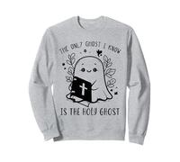 Biblia El único Fantasma Que conozco es el Fantasma Santo Boo Halloween Sudadera