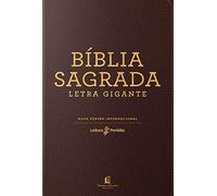 Biblia Leitura Perfeita - Letra Gigante - capa neutra (Em Portugues do Brasil)