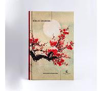 Bíblia NVI - Capa Dura