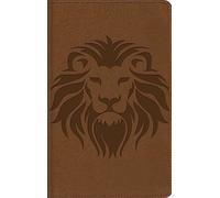 Biblia visual de estudio para niños / Kids' Visual Study Bible: Explora la Biblia: personajes, lugares e historia, Nueva Biblias de las Americas / ... leathersoft, indice de mapas e infografia